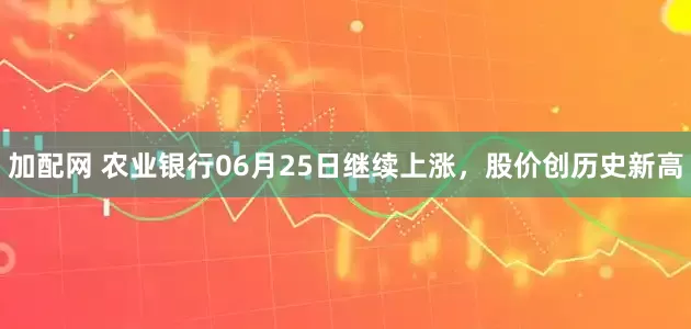 加配网 农业银行06月25日继续上涨，股价创历史新高