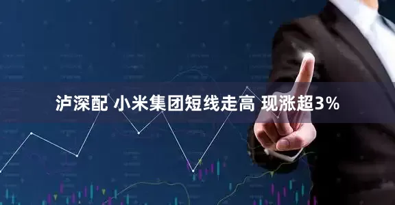 泸深配 小米集团短线走高 现涨超3%