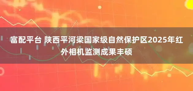 富配平台 陕西平河梁国家级自然保护区2025年红外相机监测成果丰硕